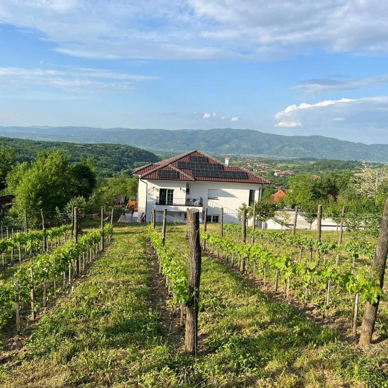 Vila sa bazenom Vrnjačka Idila - Studio sa Terasom - 32