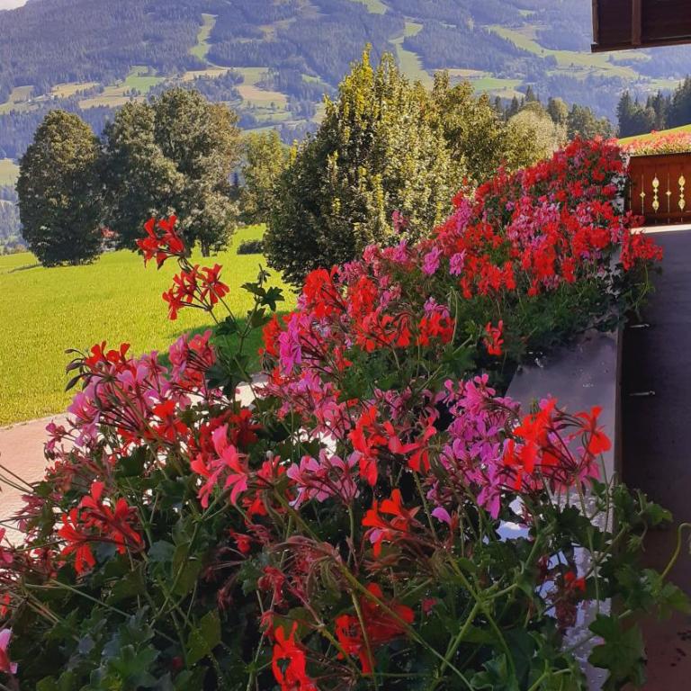 Pension Trillerhof - Appartement 2 Chambres - 3