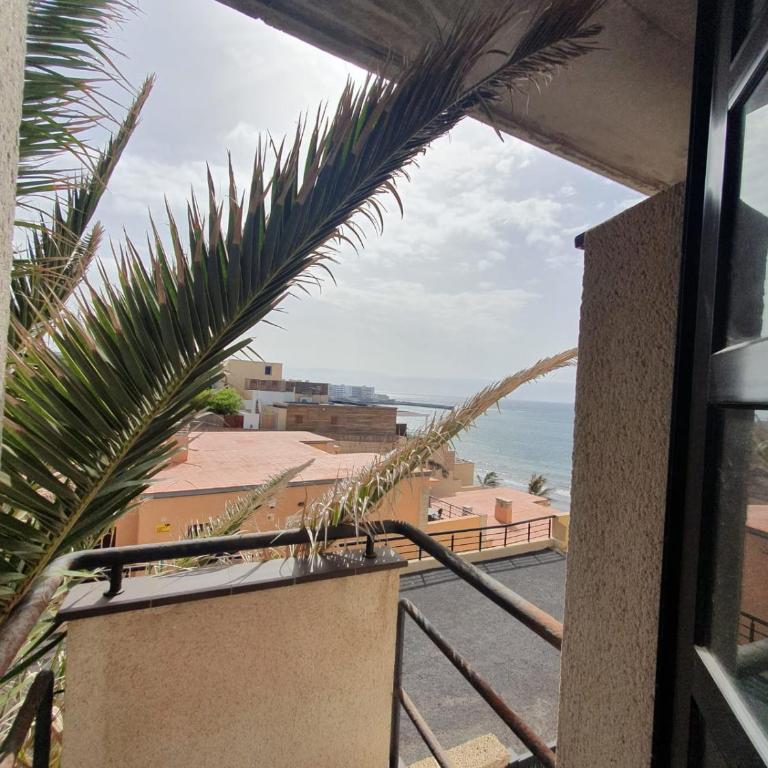 alquilaencanarias El Medano Spectacular terrace and sea views A - Casa de 2 dormitorios - 9