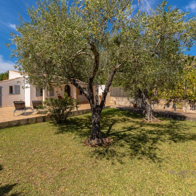 Villa Les Oliveres Petites de un dormitorio - Casa con 1 dormitorio - 12