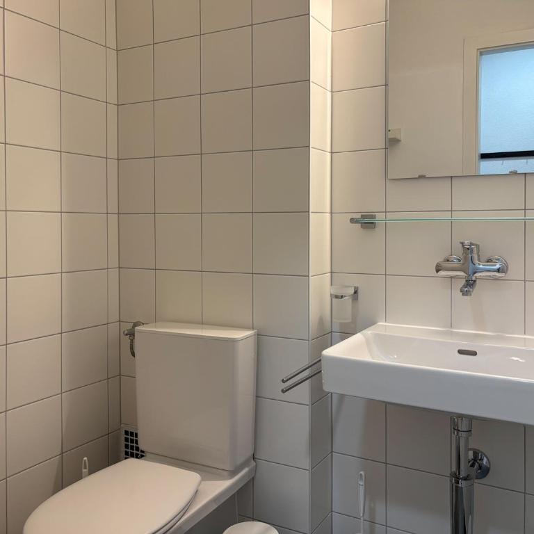 Bright flat in Sion - Apartment mit 1 Schlafzimmer - 3