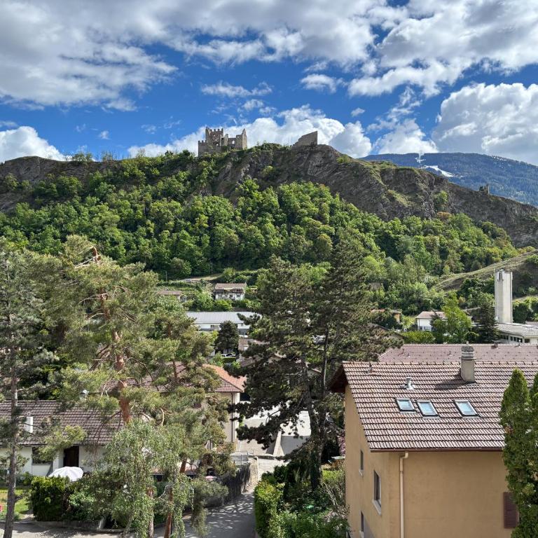 Bright flat in Sion - Apartment mit 1 Schlafzimmer - 11