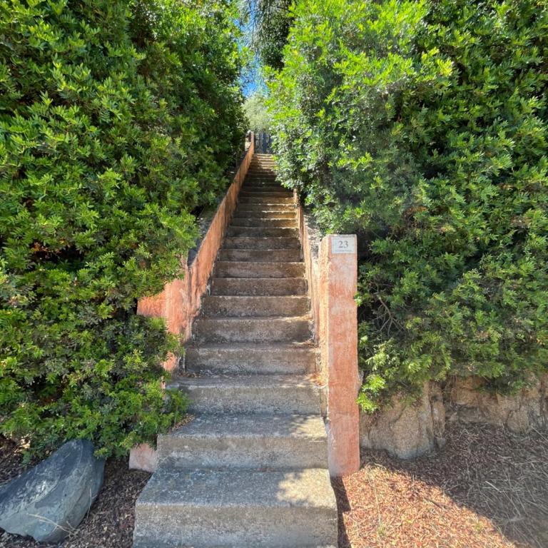 APPARTAMENTI BIANCANEVE by VILLA AUREA CAV - Appartamento con 2 Camere da Letto, Balcone e Vista mare - 29
