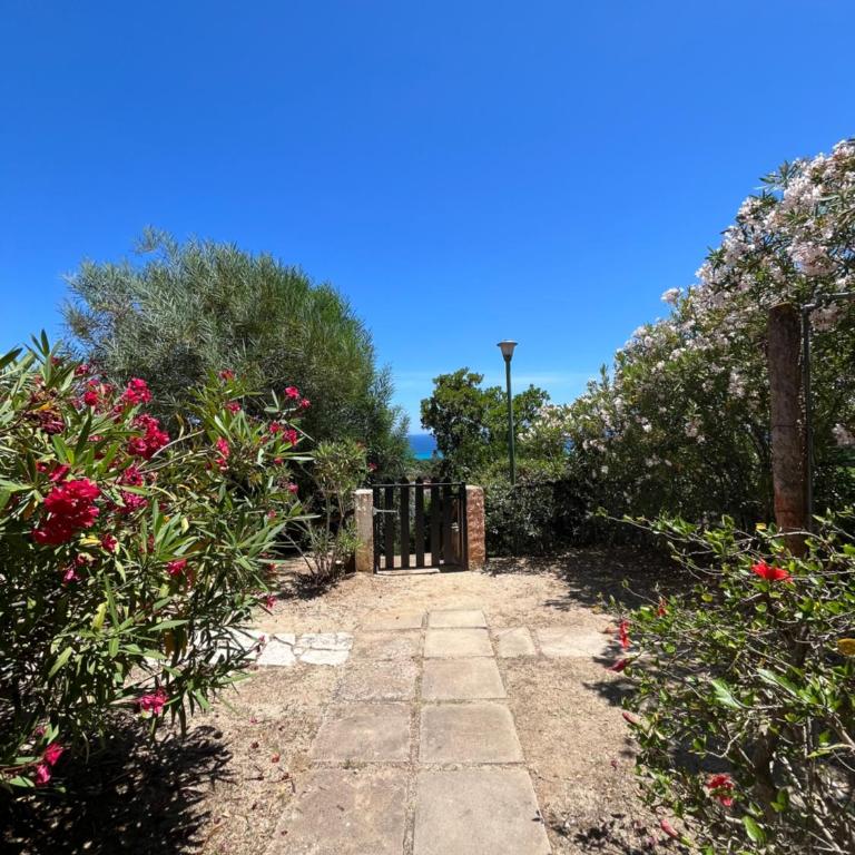 APPARTAMENTI BIANCANEVE by VILLA AUREA CAV - Appartamento con 2 Camere da Letto, Balcone e Vista mare - 28