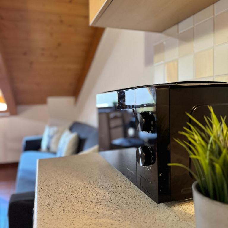 Charm & Relax - Accogliente Mansarda Alpina - Apartamento de 1 dormitorio - 19