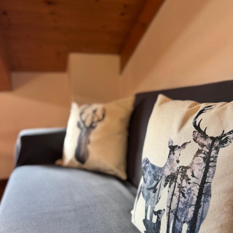 Charm & Relax - Accogliente Mansarda Alpina - Apartamento de 1 dormitorio - 16