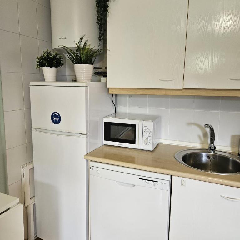 Candanchu Maitea - One-Bedroom Apartment with Balcony and Mountain View - 7