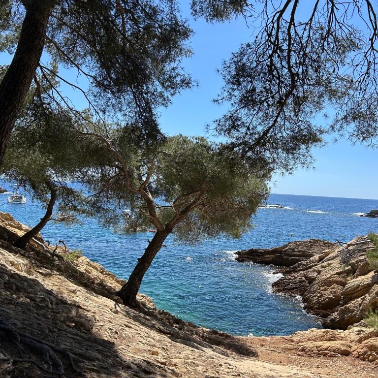 maison entièrement climatisée vue d'exception mer et rade de Marseille avec piscine 8 personnes - Villa - 57