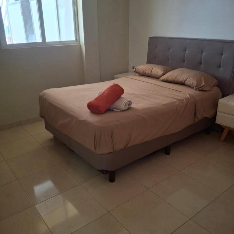 Casa Ross - One-Bedroom Apartment - 1