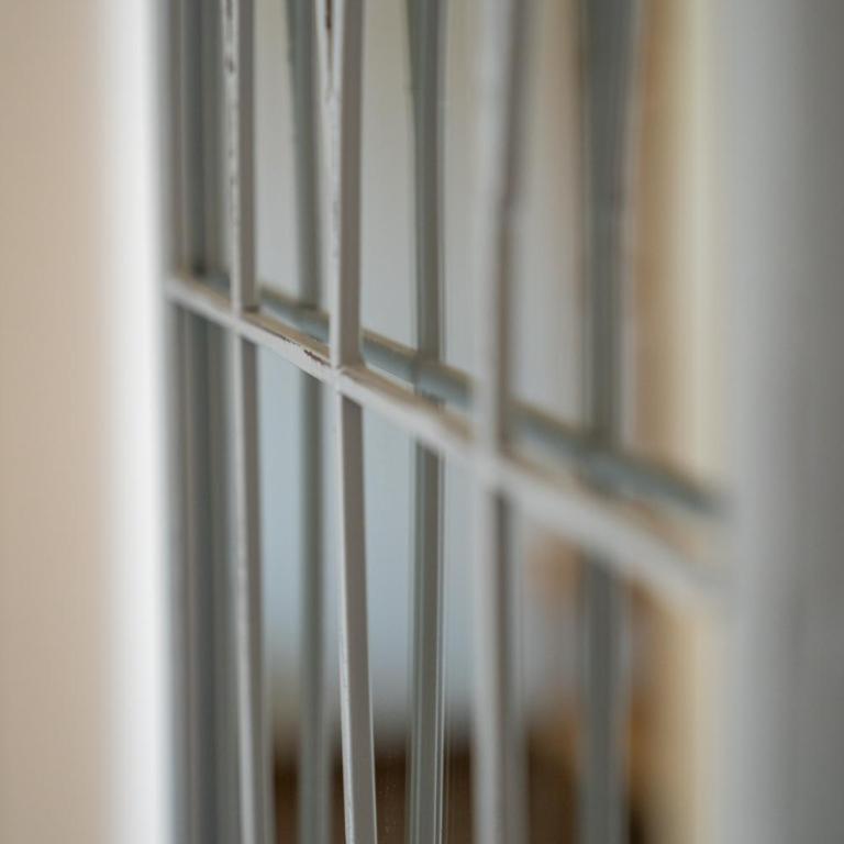 Dents Jaunes - Appartement - 14
