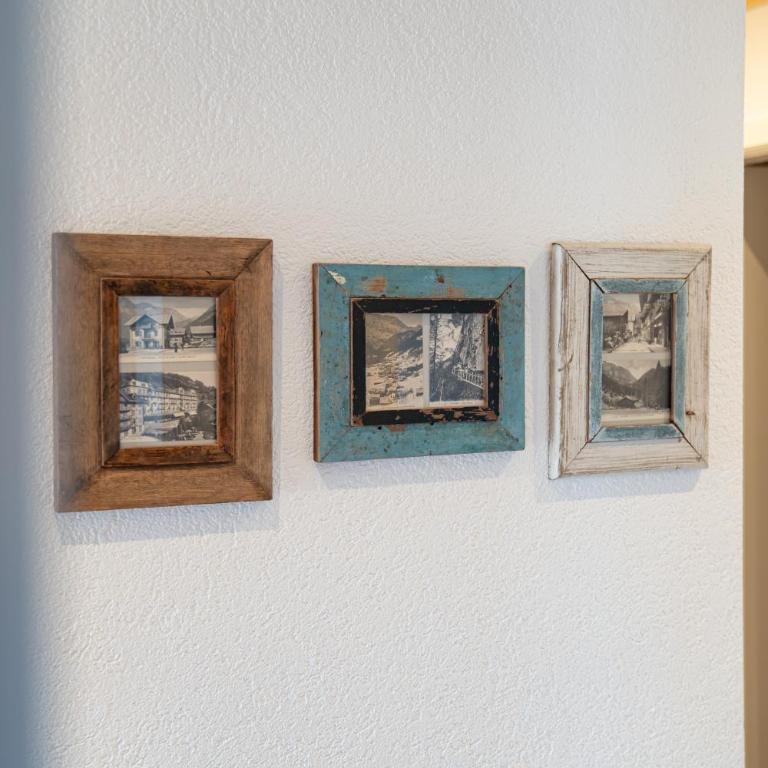 Dents Jaunes - Appartement - 36