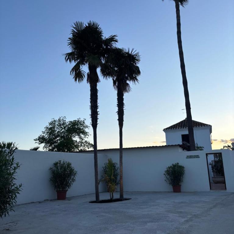 Apartamento Bambú Blanco , Mijas-Málaga - Apartamento de 1 dormitorio - 2