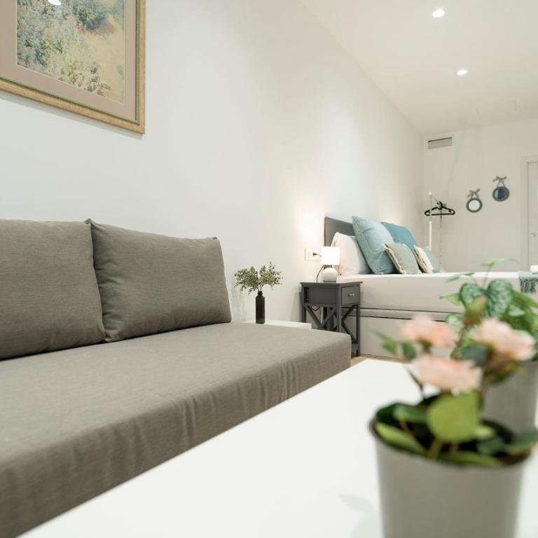 VLC HOST- Sant Jordi - Studio - 32