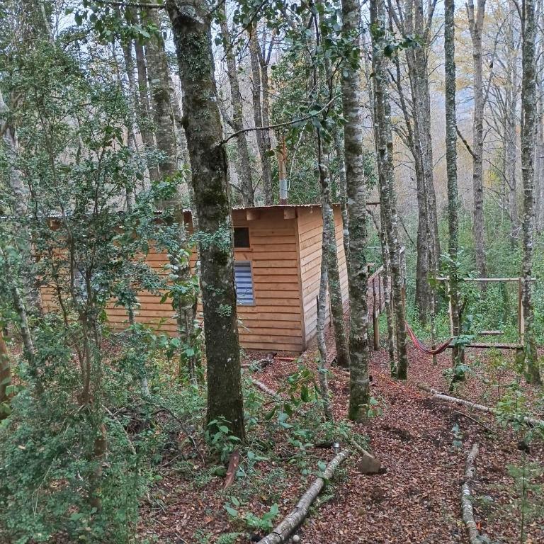 David el roble - Casa con 1 dormitorio - 10