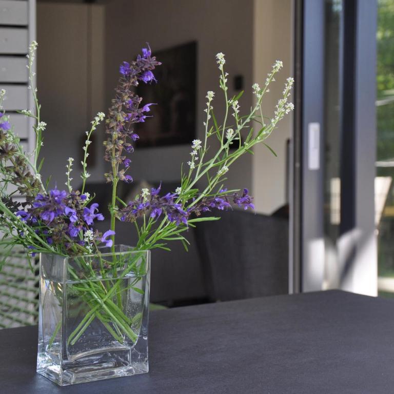 DIE NEUN - Loft, Garten, Lieblingsort - Apartment - 12