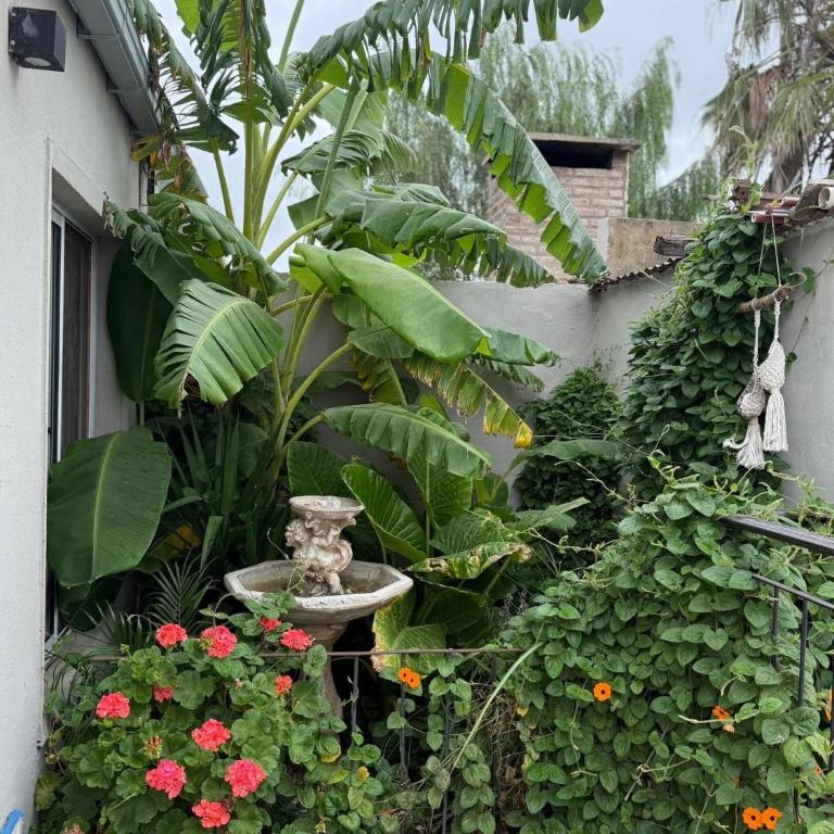Quincho Los Abuelos 2 - Casa con 1 dormitorio - 4