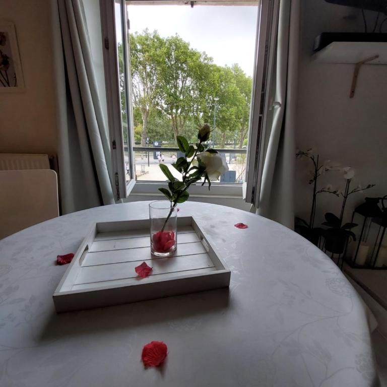 les delices rooms-loveroom white - Appartement 1 Chambre - 9