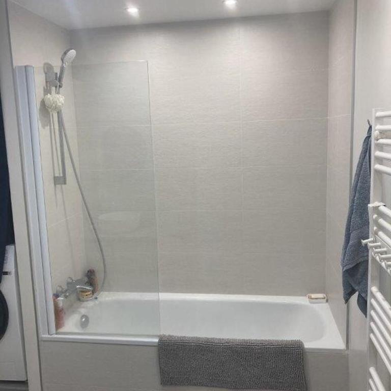 Quai du Rhone Two bedroom appartement - Apartment mit 2 Schlafzimmern - 7