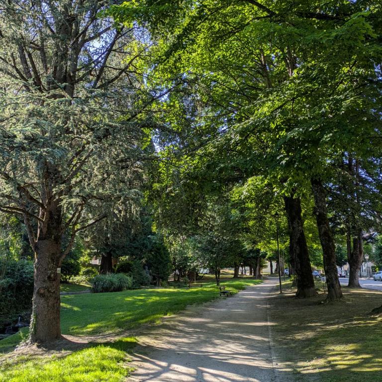 Aux pieds du Parc - Apartamento de 1 dormitorio - 8