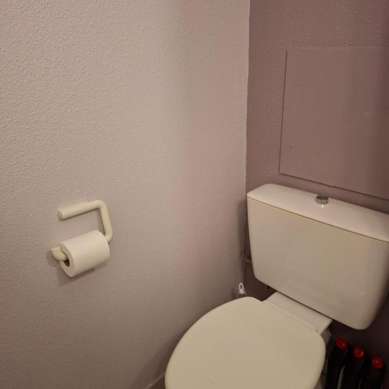 Appartement 6 personnes, 40m2, lave-linge, 2 salles de bain, grand balcon, piscine et proche golf - Appartement 2 Chambres - 29