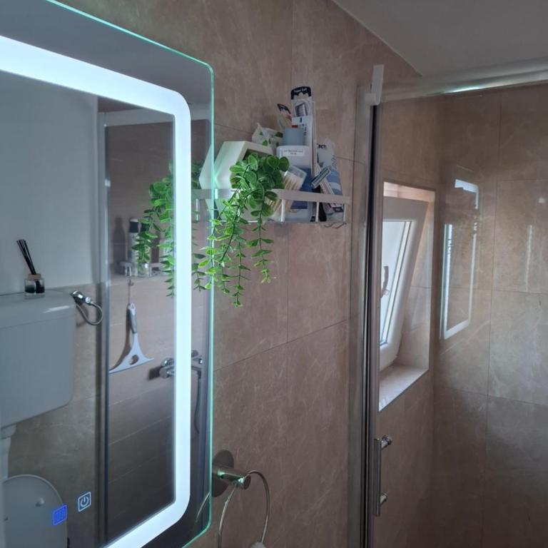 Jazzjolly - One-Bedroom Apartment - 4