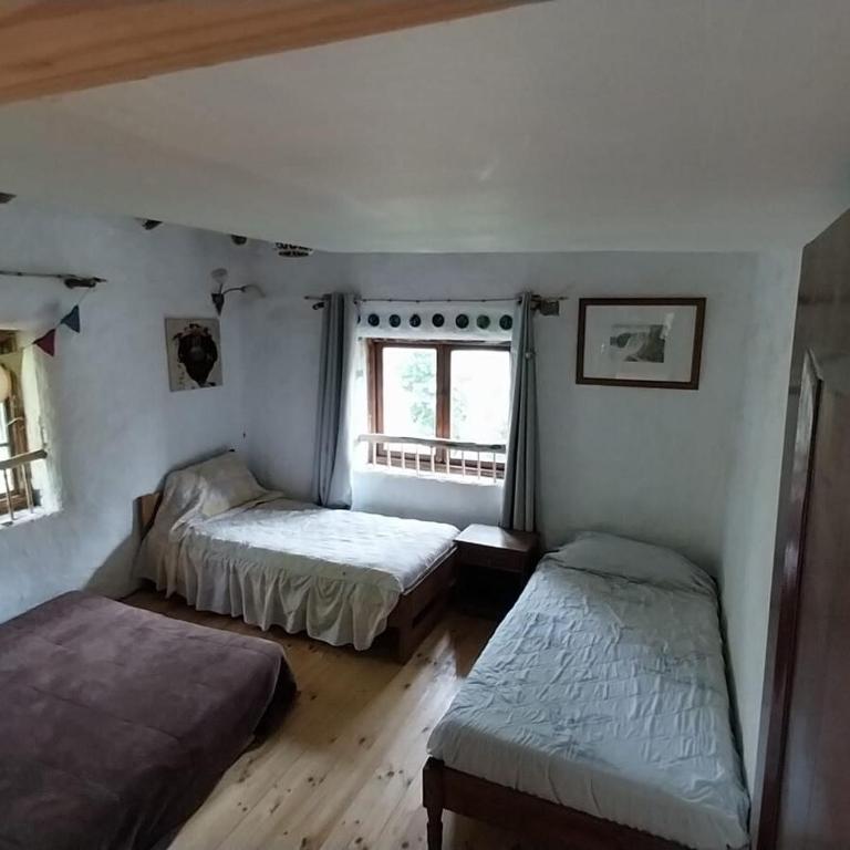 Cabaña rustica en los Lleuques - Two-Bedroom Apartment - 34