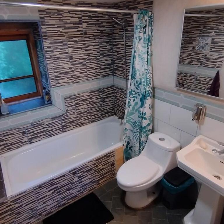 Cabaña rustica en los Lleuques - Two-Bedroom Apartment - 31