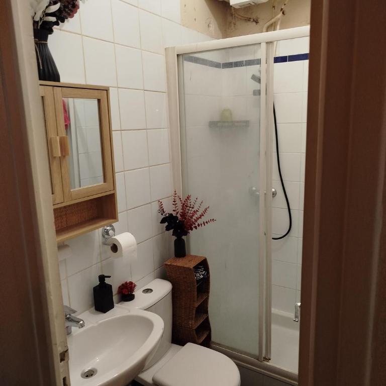 Studio sympa meublé et équipé Paris Nation. - Appartement 1 Chambre - 5