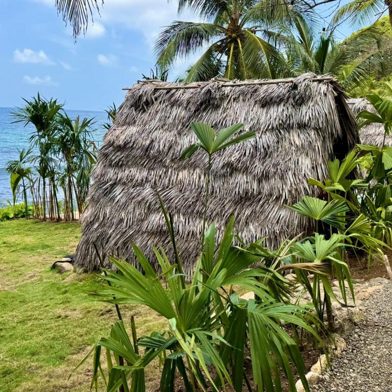 El Fin del estres Sapzurro - Bungalow with Sea View - 4