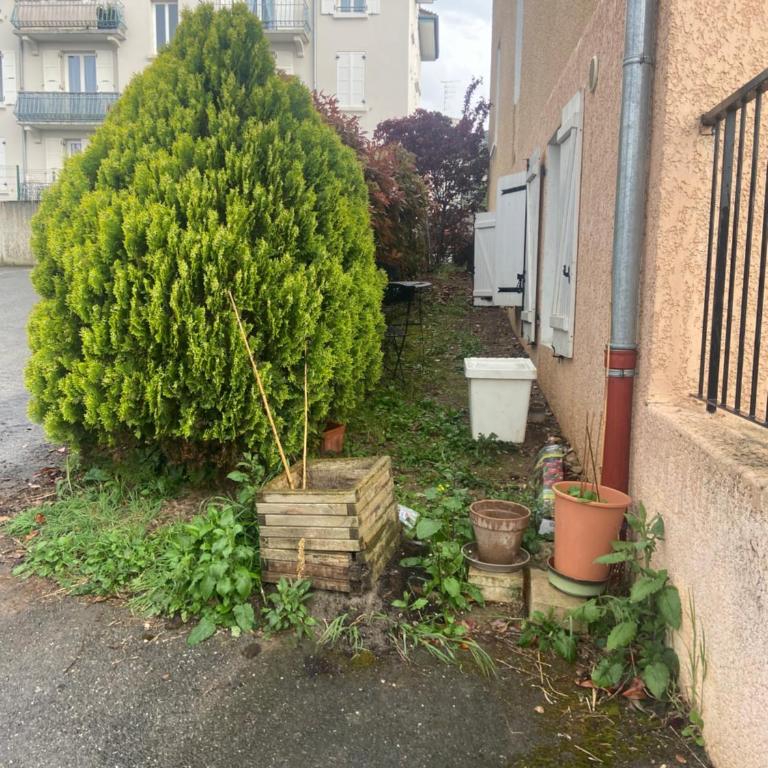 les Lucioles - Appartement 1 Chambre - 54