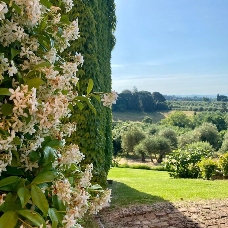 Palazzo del Papa Country Suites - Appartamento Superior - 4