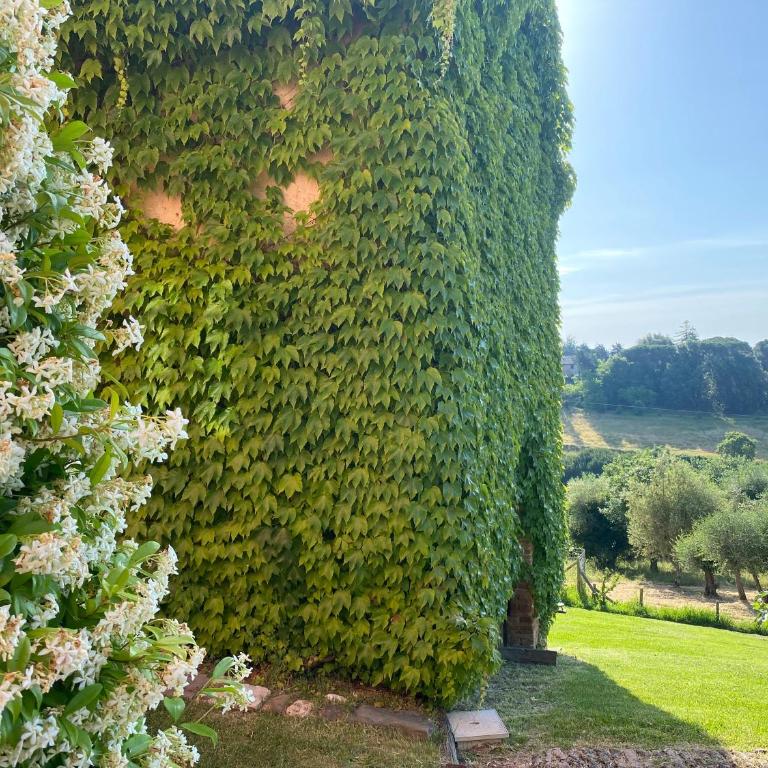Palazzo del Papa Country Suites - Appartamento Superior - 20