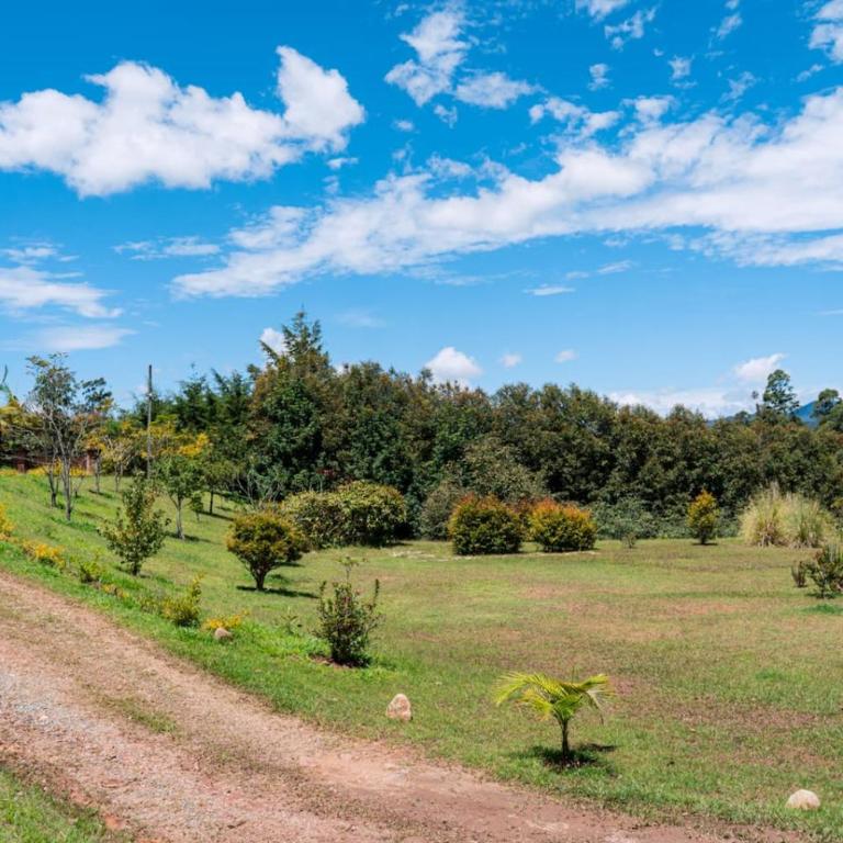 Luxury Cabin w Lake, HotTub, Cinema, Fire Pit, BBQ - Casa - 39