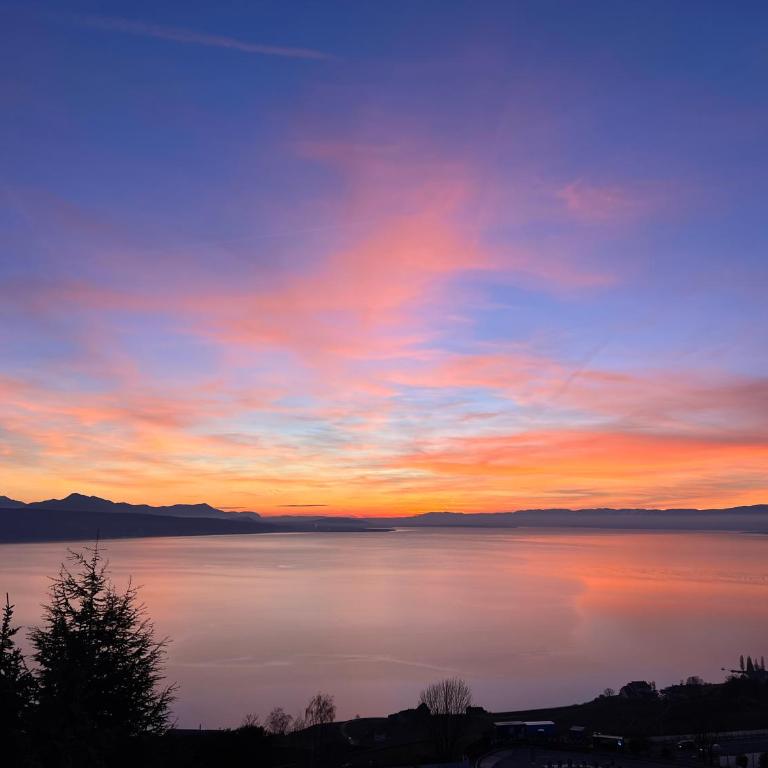 Premium Villa with Jacuzzi & Panoramic Lake View Lavaux - Villa - 20