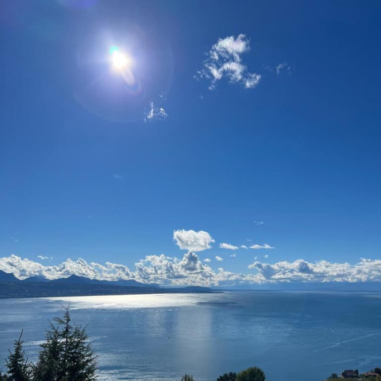 Premium Villa with Jacuzzi & Panoramic Lake View Lavaux - Villa - 21