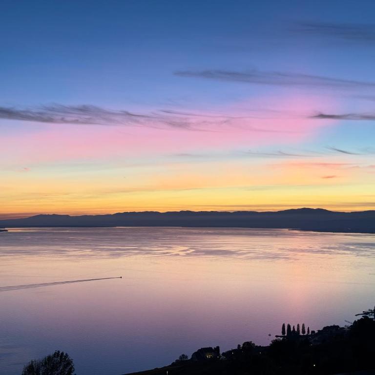 Premium Villa with Jacuzzi & Panoramic Lake View Lavaux - Villa - 18