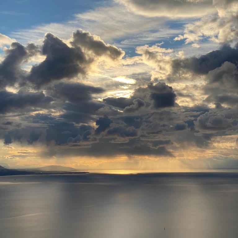 Premium Villa with Jacuzzi & Panoramic Lake View Lavaux - Villa - 25