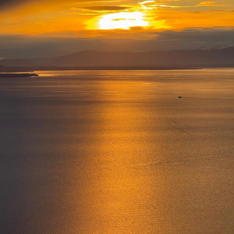 Premium Villa with Jacuzzi & Panoramic Lake View Lavaux - Villa - 24