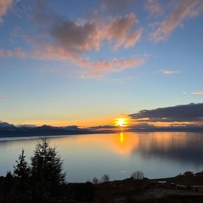 Premium Villa with Jacuzzi & Panoramic Lake View Lavaux - Villa - 19