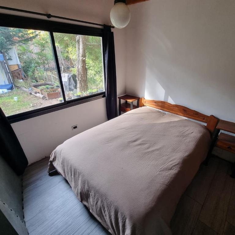 Lemuria - a 350m de Playa - Mar Azul - Apartamento de 1 dormitorio - 5