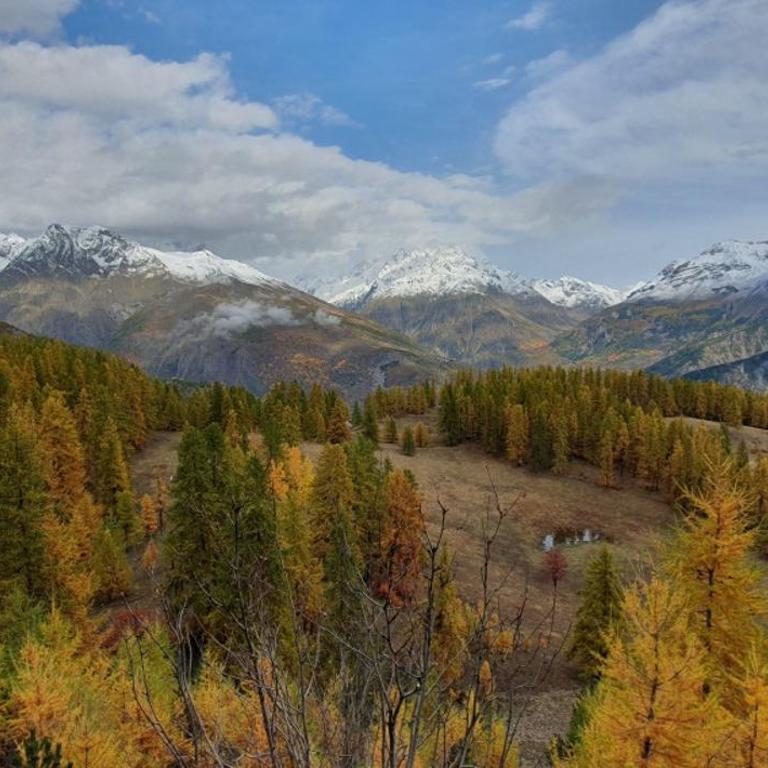 Chalet duplex Parc Aux Etoiles 1800 - Three-Bedroom House - 3