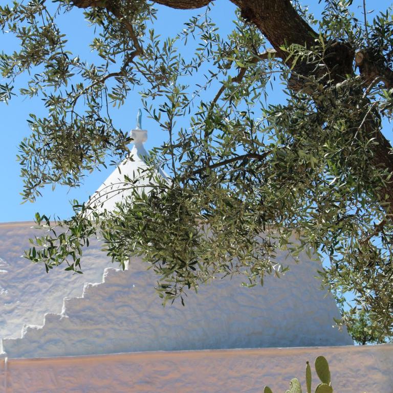 Trullo Il Melograno - Appartamento con 1 Camera da Letto - 45