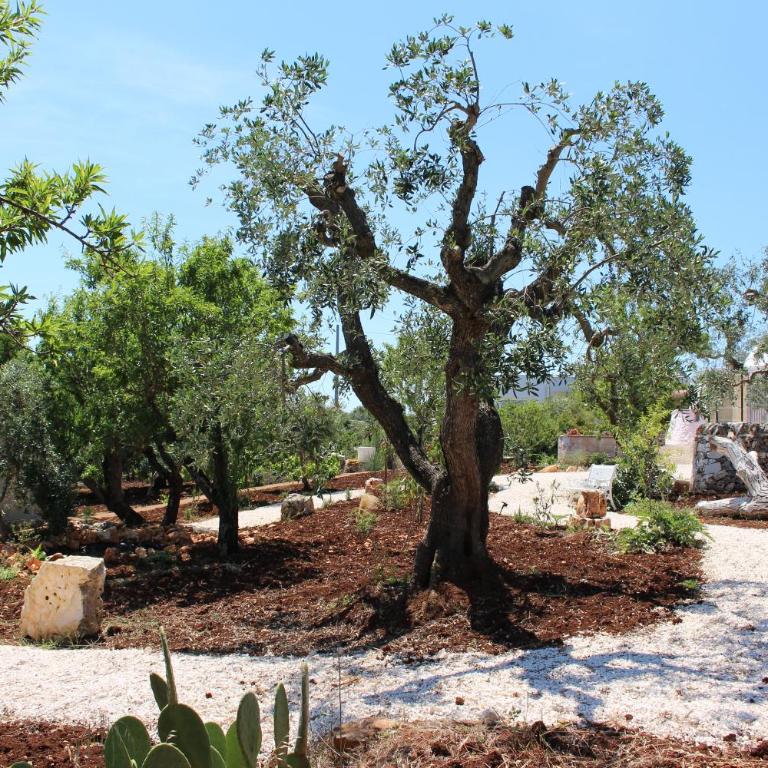 Trullo Il Melograno - Appartamento con 1 Camera da Letto - 52