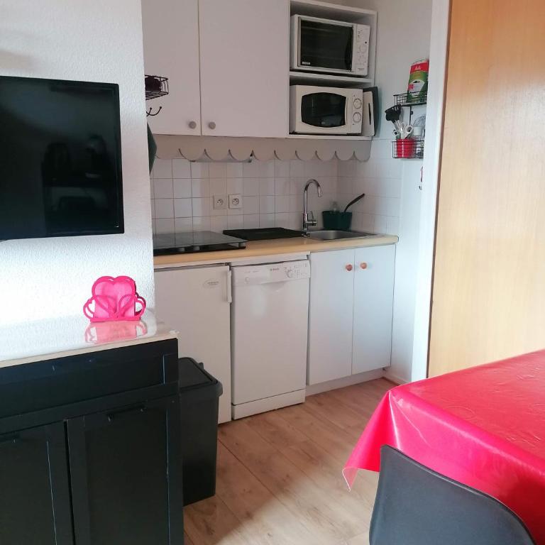 CŒUR D'ALTAÏR RISOUL 1850 Appartement T2 confortable skis aux pieds - Appartement 2 Chambres - 12