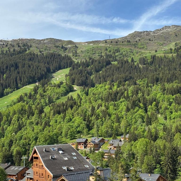 Appartement 4 personnes - Magnifique vue montagne - Appartement 1 Chambre - 2