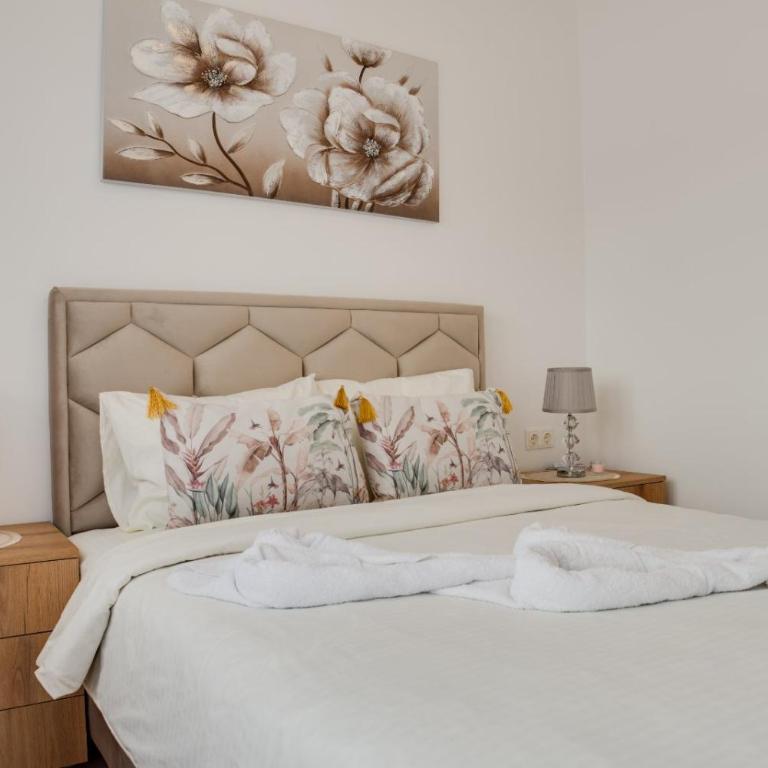 Apartman Stevanovic - Apartman sa 1 Spavaćom Sobom - 10