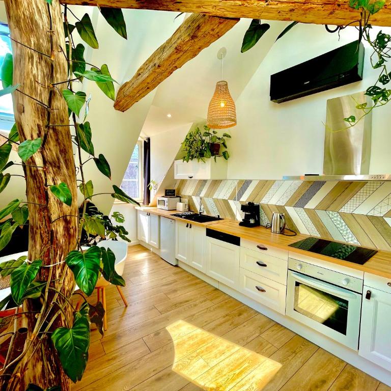 Nid douillet sous les toits avec jacuzzi - Appartement 1 Chambre - 4