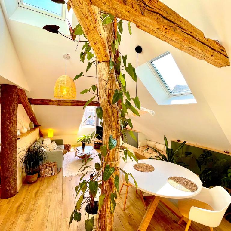 Nid douillet sous les toits avec jacuzzi - Appartement 1 Chambre - 13
