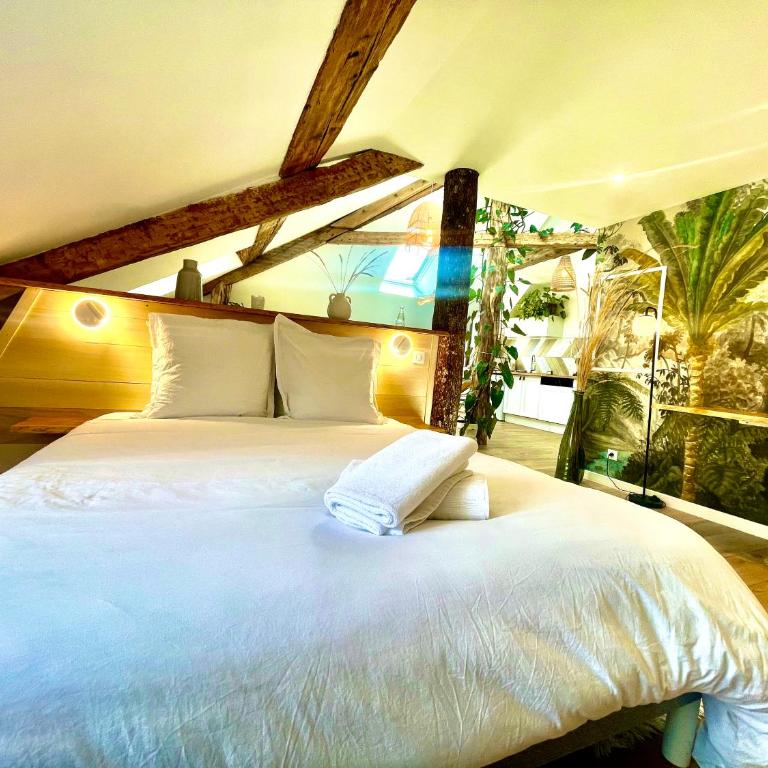 Nid douillet sous les toits avec jacuzzi - Appartement 1 Chambre - 17