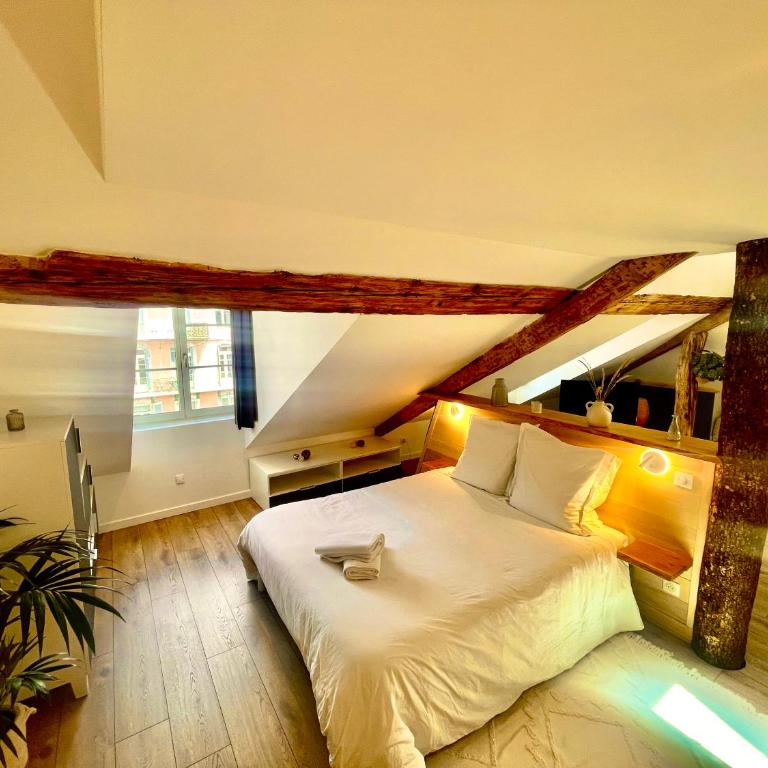 Nid douillet sous les toits avec jacuzzi - Appartement 1 Chambre - 24